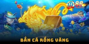 ban ca rong vang huong dan chinh phuc dai duong va kiem thuong dinh cao 2024 289 127